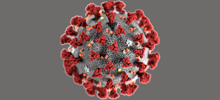 COVID-19—your questions answered teaser.png